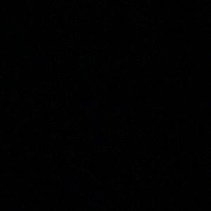 Meet your Posher, Maya